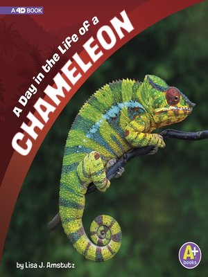 cover image of A Day in the Life of a Chameleon